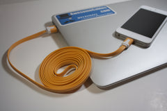 3 FT iPhone 5 Lightning Noodle Cable
